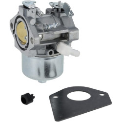 Carburateur BRIGGS & STRATTON FGP456475
