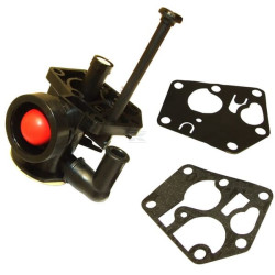 Carburateur adapté BRIGGS & STRATTON FGP456483