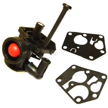 Carburateur adapté BRIGGS & STRATTON FGP456483