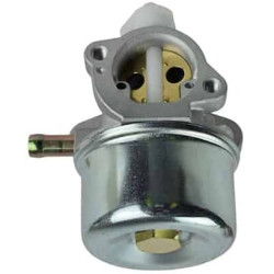 Carburateur BRIGGS & STRATTON FGP456476