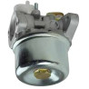 Carburateur BRIGGS & STRATTON FGP456476
