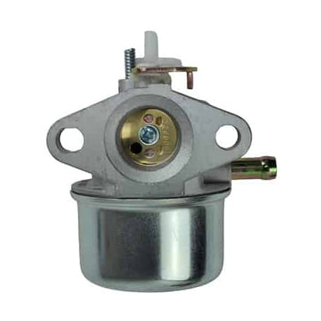 Carburateur BRIGGS & STRATTON FGP456476