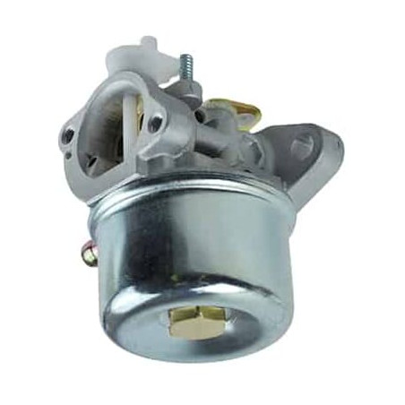 Carburateur BRIGGS & STRATTON FGP456476