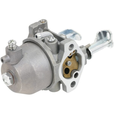 Carburateur BRIGGS & STRATTON FGP456472