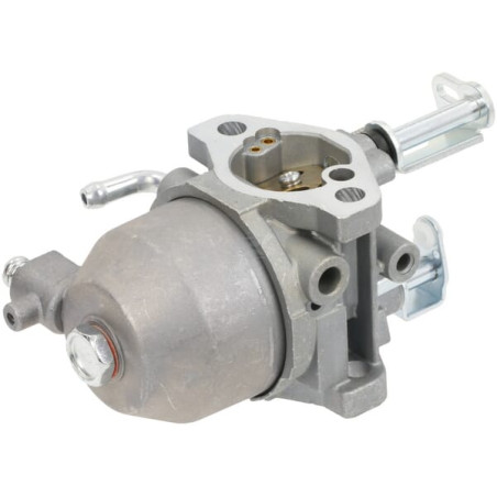 Carburateur BRIGGS & STRATTON FGP456472