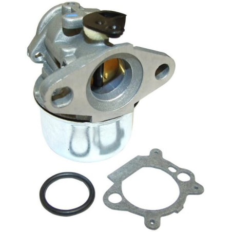Carburateur BRIGGS & STRATTON FGP456485