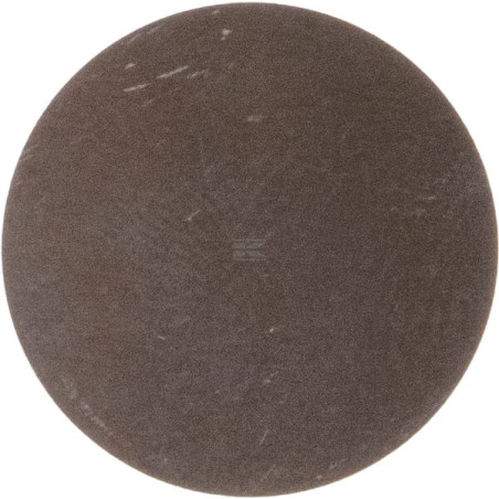 Disque de sécurité WEBTEC FT3387