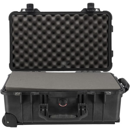 Caisse WEBTEC FT9160510