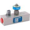 Débitmètre à turbine WEBTEC FT950124