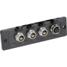 Module d'entrée WEBTEC FT1129602