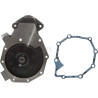 Pompe à eau OMP G130211HP