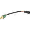 Capteur FENDT (AGCO) G514970130010