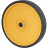 Roue AS-MOTOR G60021006
