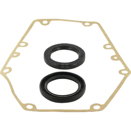 Kit BORELLI GBF309SAFD2