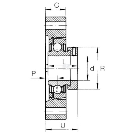 Palier complet INA/FAG GLCTE20FA125