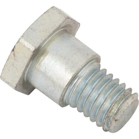 Vis AS-MOTOR G00009041