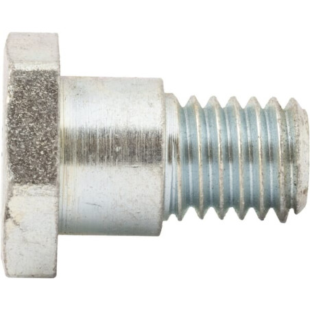 Vis AS-MOTOR G00009041