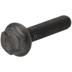 Vis AS-MOTOR G00009086