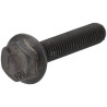 Vis AS-MOTOR G00009086