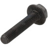 Vis AS-MOTOR G00009086
