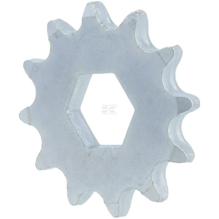 Pignon AS-MOTOR G06725013