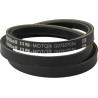Courroie AS-MOTOR G07857054
