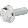 Vis AS-MOTOR G07913004