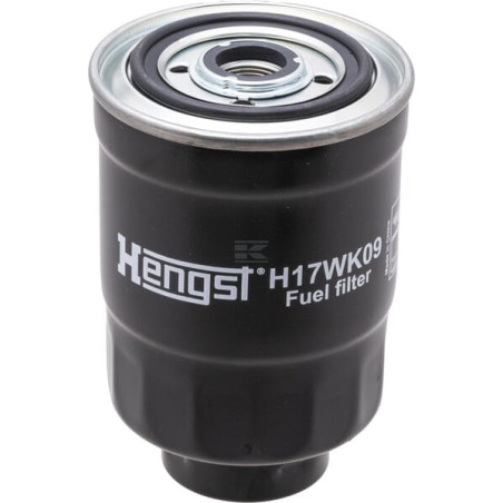 Filtre HENGST H17WK09
