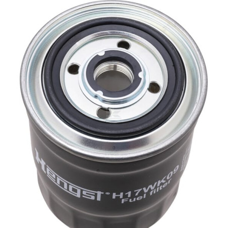 Filtre HENGST H17WK09