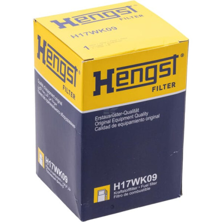 Filtre HENGST H17WK09