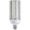 Ampoule LED LEDVANCE HQLP11700827G3