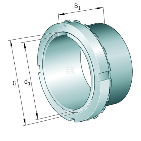Bague INA/FAG H2305