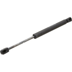 Vérin à gaz AGCO H816810030500
