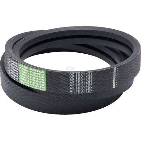 Courroie OPTIBELT H202821AB