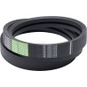 Courroie OPTIBELT H202821AB