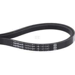 Courroie TIELBÜRGER HB165043
