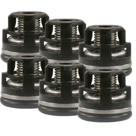 Kit de valves ANNOVI REVERBERI HD1702780