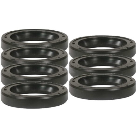 Kit ANNOVI REVERBERI HD1701855