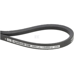 Courroie JCB JC33155520
