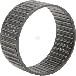 Cage INA/FAG K55X60X27B07