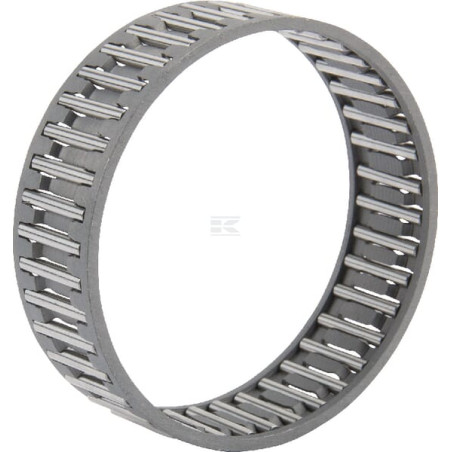 Cage INA/FAG K39X44X26ZWB04
