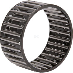 Cage INA/FAG K55X63X32A07