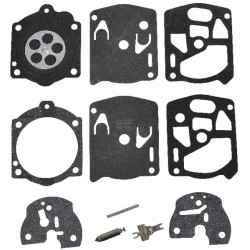 Kit WALBRO K10WSKR