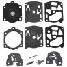 Kit WALBRO K10WSKR