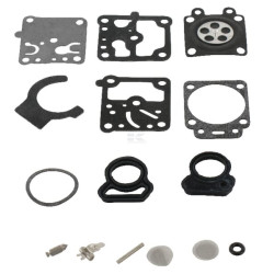Kit WALBRO K10WZKR