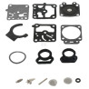 Kit WALBRO K10WZKR