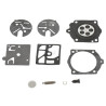 Kit WALBRO K10HDCKR