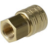 Raccord rapide femelle UNIVERSEL KR14KAIW17P01B
