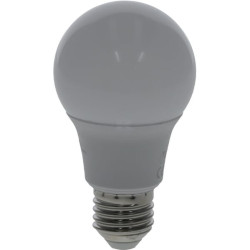 Ampoule LED UNIVERSEL KRSBA608E27
