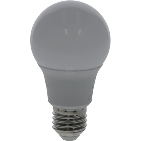 Ampoule LED UNIVERSEL KRSBA608E27